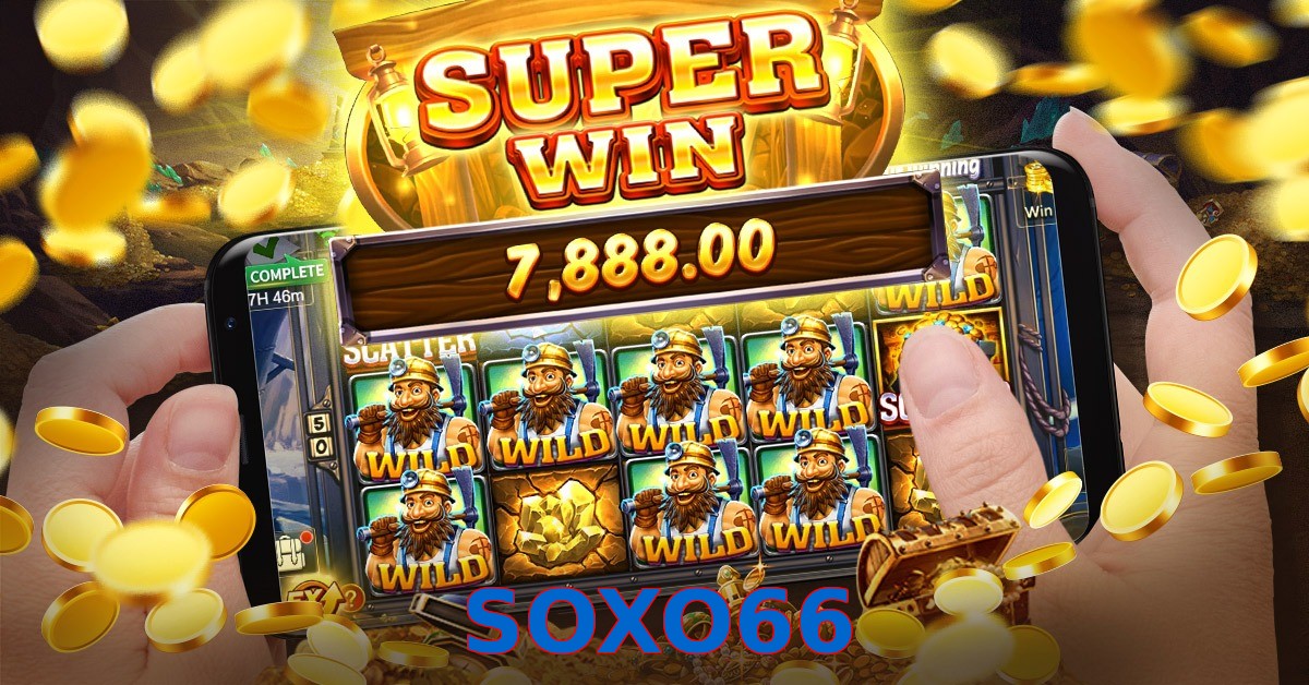 SOXO66